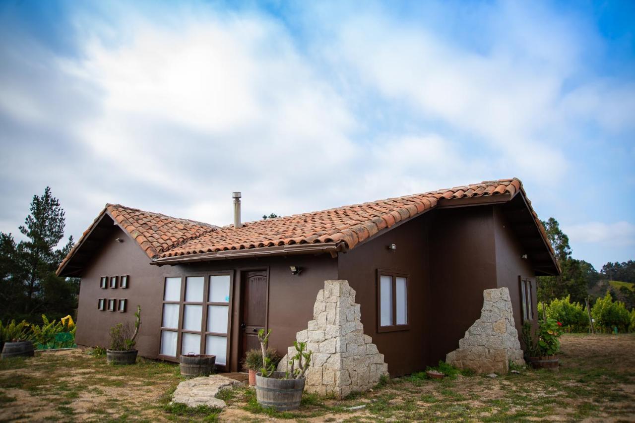 Bungalow Miramar & Jeronimo At Casa Marin Vineyards Bed & Breakfast Cartagena  Exterior photo